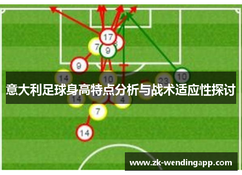 意大利足球身高特点分析与战术适应性探讨