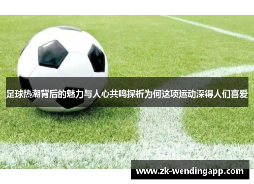 足球热潮背后的魅力与人心共鸣探析为何这项运动深得人们喜爱